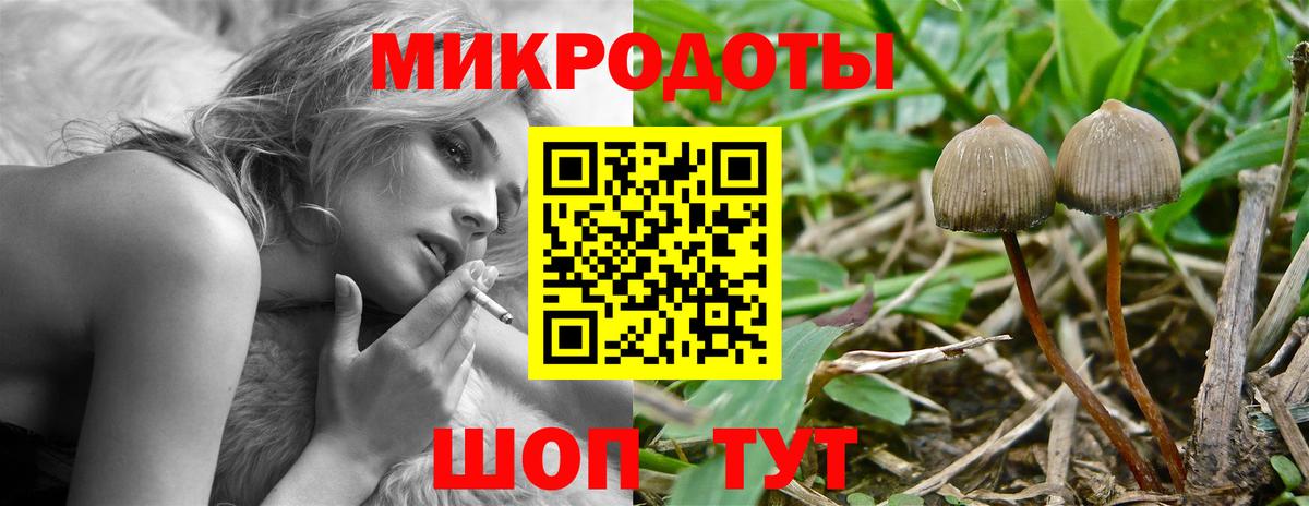 Ивантеевка  Псилоцибиновые грибы мухоморы  Вход с VPN 